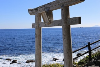 IMG_6230.jpg